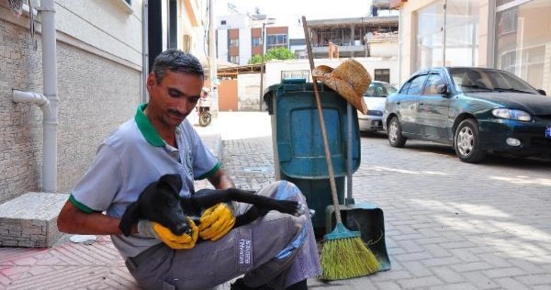 Sokak köpeği, temizlik işçisinin yanından bir an olsun ayrılmıyor