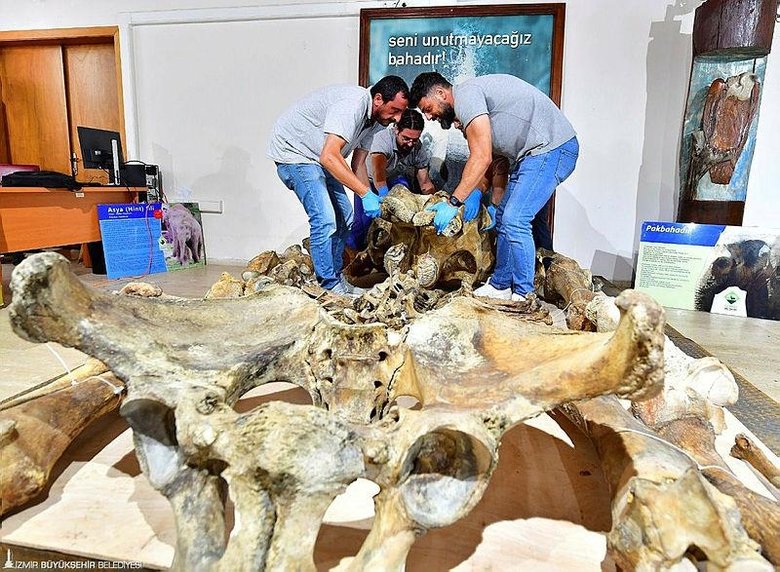 Pak Bahadır’ın iskeleti müzede sergilenecek! İzmir’in simgelerinden biriydi