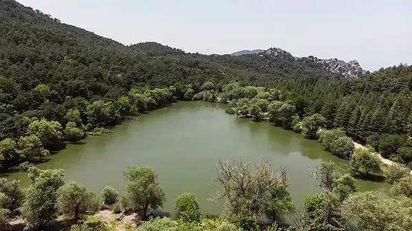 İzmir’de sıcaklardan kaçıp nefes alabileceğiniz piknik alanları