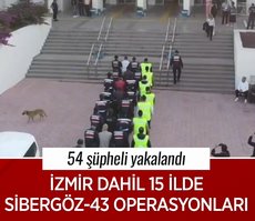 İzmir dahil 15 ilde Sibergöz-43 Operasyonları: 54 şüpheli yakalandı