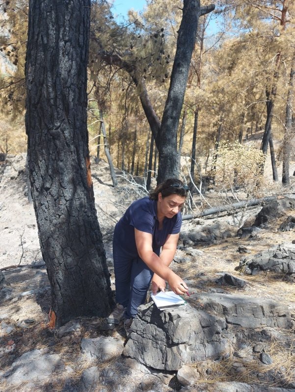 Muğla’da yanan ’özel bölgeler’ için ekolojik kurtarma operasyonu
