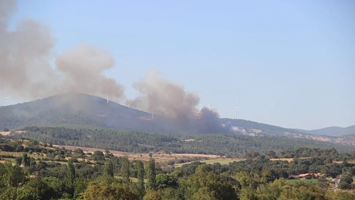Çanakkale'deki orman yangını kontrol altında