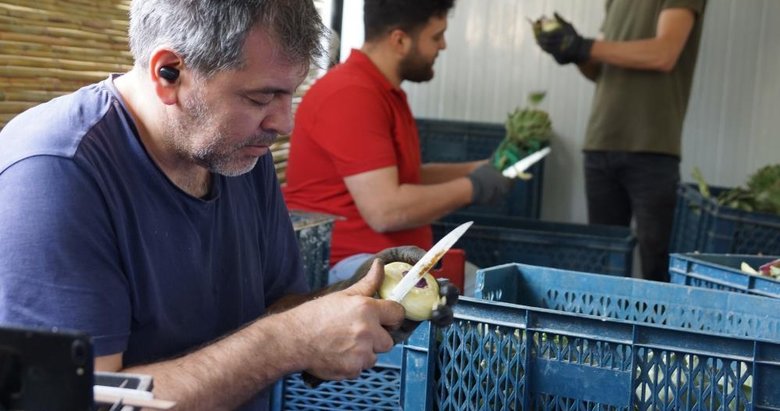 Asgari ücretin 4 katını kazanıyorlar! Yeşil altın geçim kapısı oldu