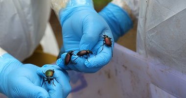 Savaş devam ediyor!