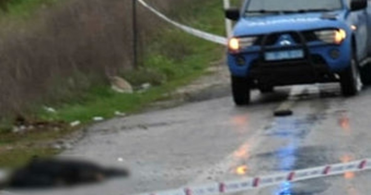 Mahmut Arikan Boya Yapi Magazasi Halkapinar Mah 1202 2 Sok Konak Izmir Turkiye Yandex Haritalar