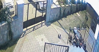 Tarih profesörüne cinayet suçlaması