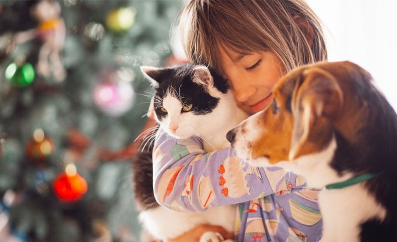 Patili dostları tehlikeye atan yanlış bilgiler