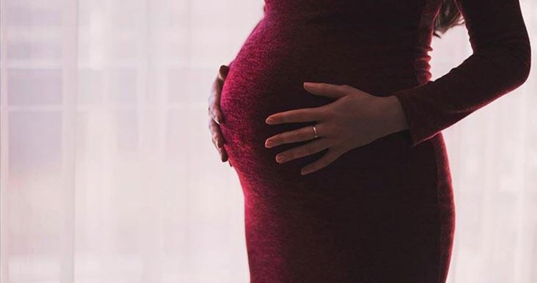 ABD’de 6 kişi, hamile kadınları doğum için Türkiye’den ülkeye getirmekle suçlandı