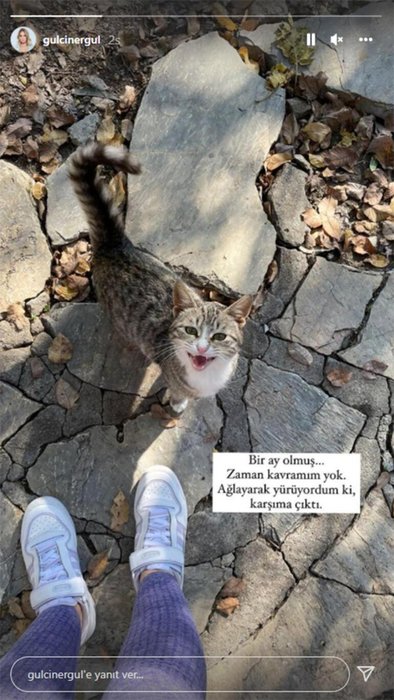 Gülçin Ergül’den ödül töreninde duygulandıran konuşma!