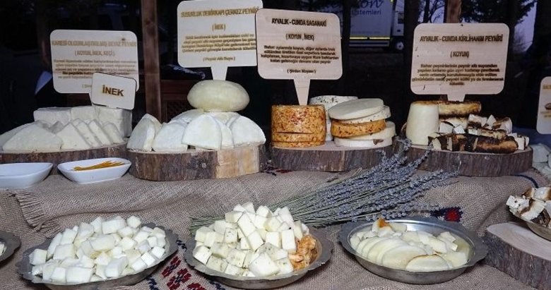 50 peynirli şehrin butik lezzetleri