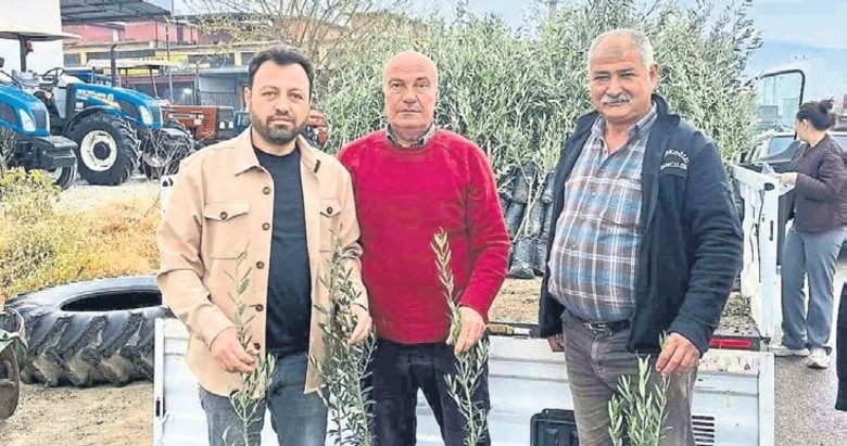 Bayındır’da üreticilere zeytin fidanı desteği