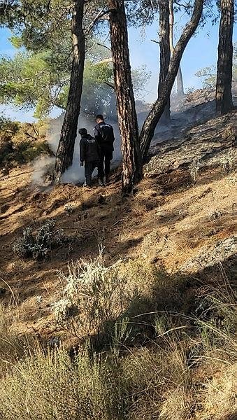 Muğla’da çıkan orman yangınını jandarma ve vatandaşlar söndürdü