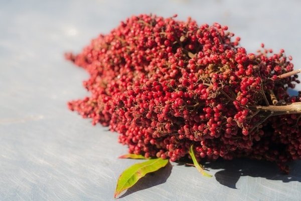 Sumağın faydaları nelerdir? Sumak neye iyi gelir?