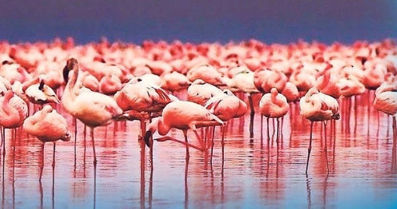 Sinema perdesinde UNESCO mirası! Filmlerin çekildiği dünya hazinesi mekanlar