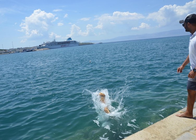 İzmir’de ’Miço’ sahilin maskotu oldu