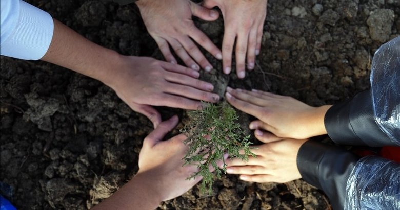 11 Kasım Milli Ağaçlandırma Günü’nde çifte rekor kırıldı
