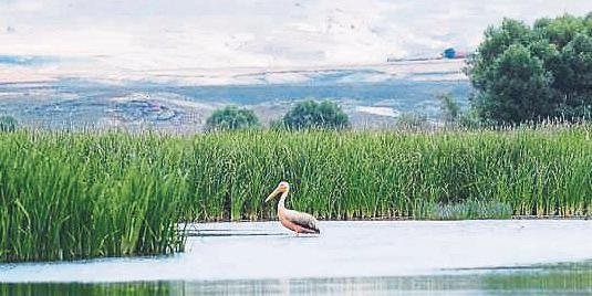 İlklerin kenti Eskişehir