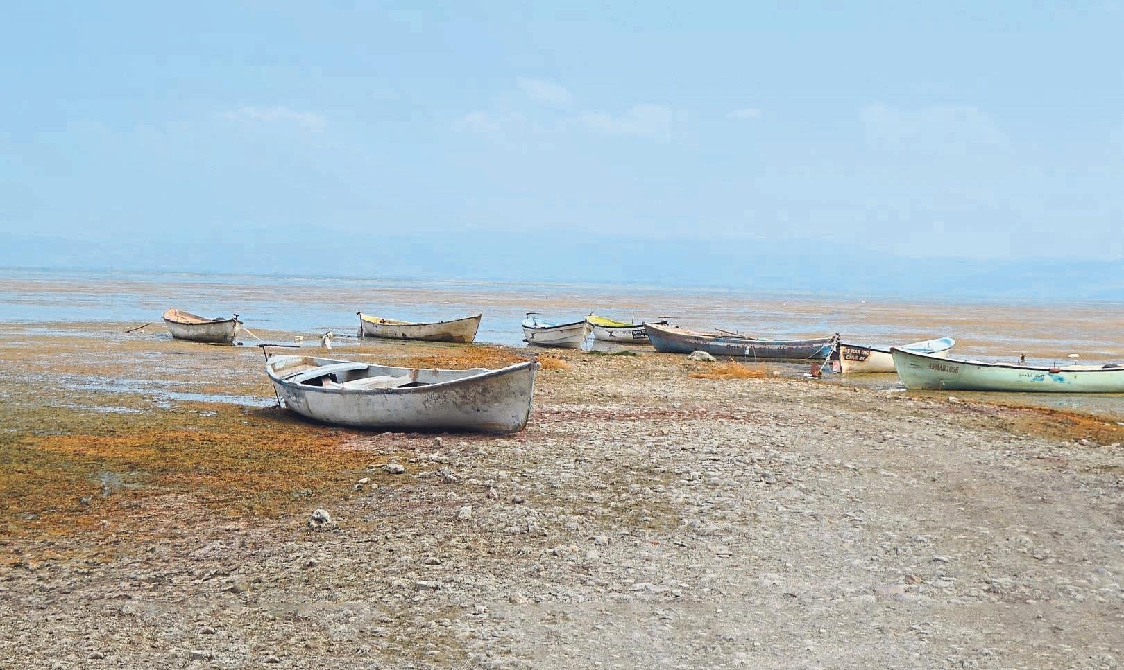 Col Marmara Manisa Haberleri