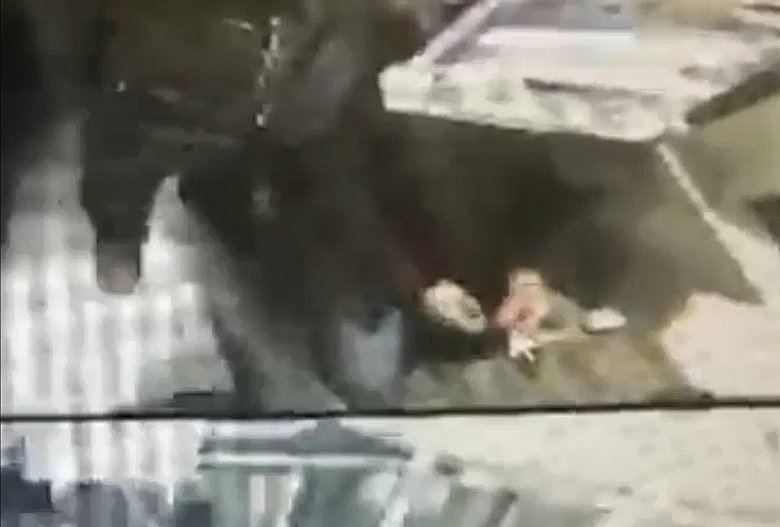 İzmir dahil 15 ilde operasyon! Sahte ekspertiz çetesi çökertildi