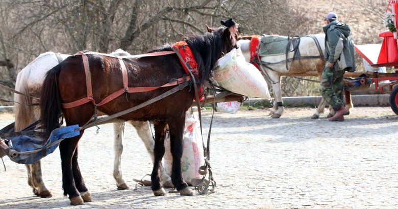 Ruam hastalığı nedir? Ruam hastalığı bulaşıcı mıdır?