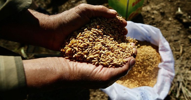 Ata tohumları Tarım Kredi marketlerinde de satılacak