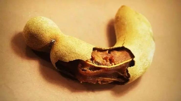 Demirhindi ne işe yarar? Demirhindi kilo verdirir mi? Günde ne kadar tüketilmeli?