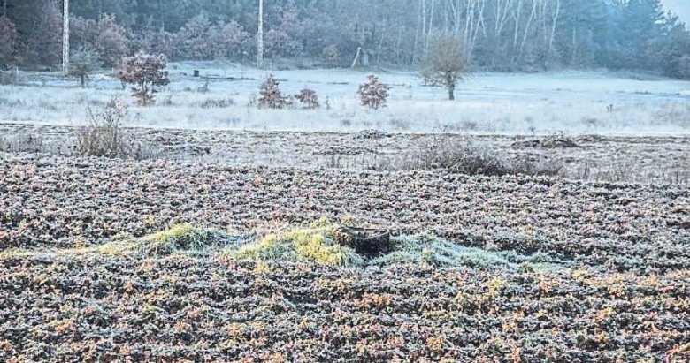 Çiftçiye 4 milyar liralık don ödemesi yapıldı