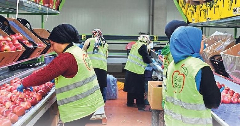 Devlet desteğiyle 21 ülkeye ihracat yapıyor