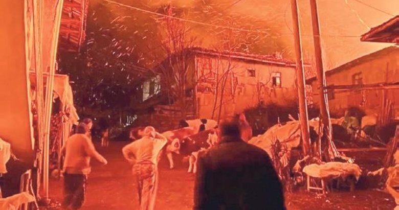 Simav’da evler yandı hayvanlar telef oldu