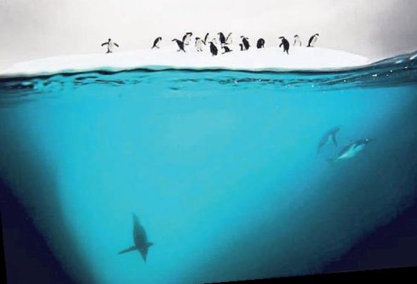 Dünyanın en soğuk çölü: Antarktika