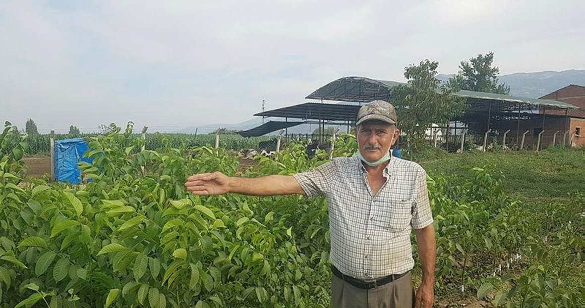 68 Yasinda Aldigi Kurs Hayatini Degistirdi Tire Den Dunya Ulkelerine Pazarliyor Izmir Haberleri
