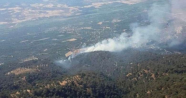 Aydın’daki yangında 2 hektar kızılçam ormanı zarar gördü