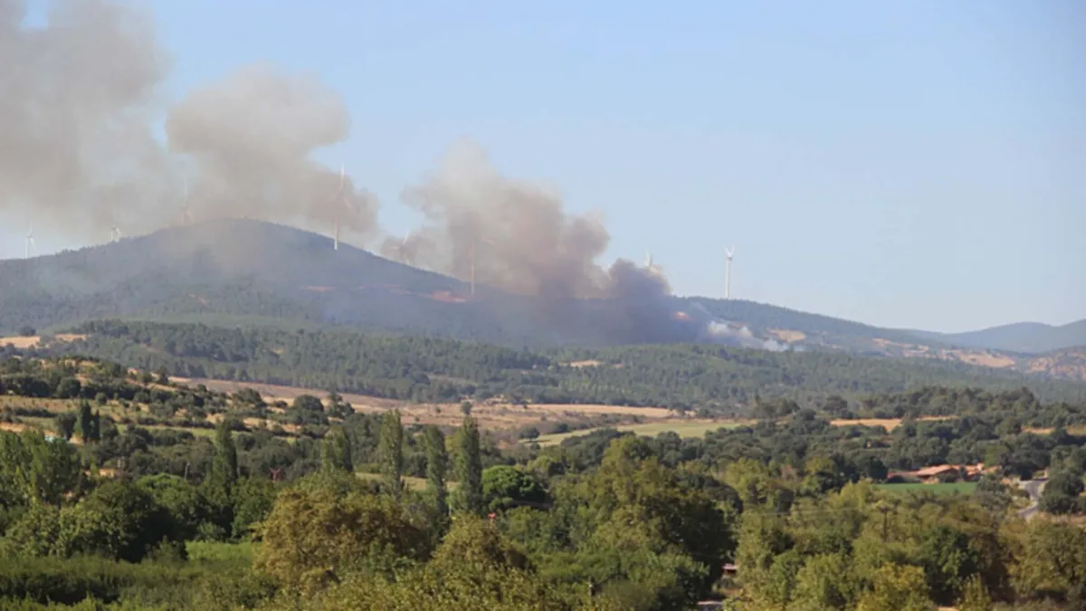 Çanakkale'de korkutan orman yangını: Bayramiç'te alevler rüzgarın etkisiyle yayıldı
