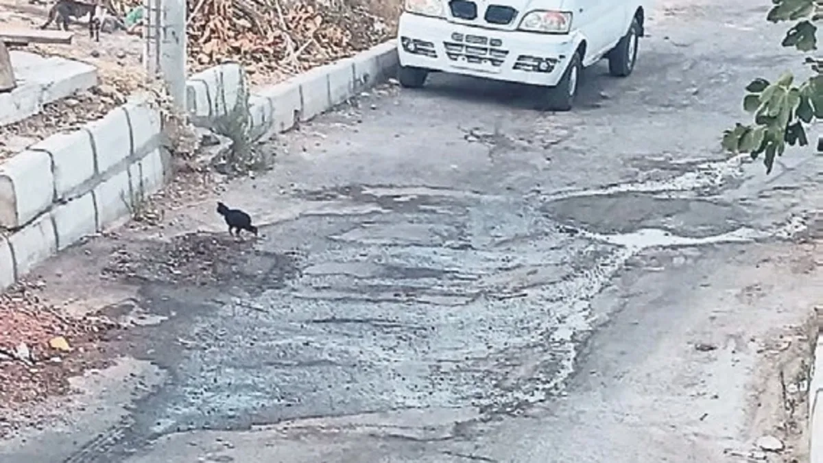 Karabağlar’da kanalizasyon çilesi!