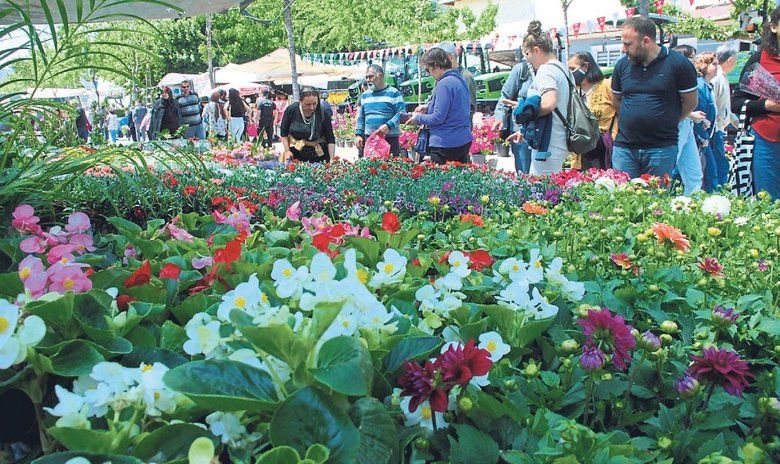 Çiçeğin görsel şovuna davetlisiniz
