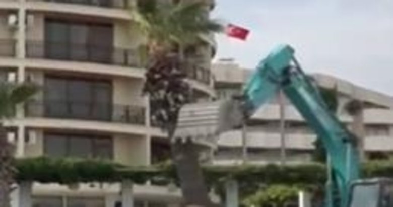 Sözde çevreci belediye Didim’de katliam yaptı