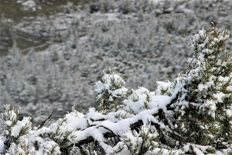 Spil’de kar keyfi yaşayan vatandaşlar: Biz İzmirliler için kar altından daha değerli