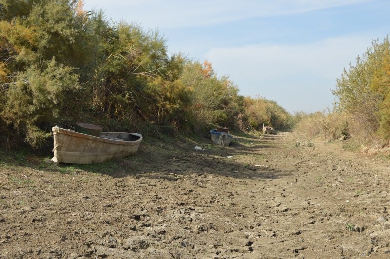 Eber Gölü’nde sular çekilince batık tekneler de gün yüzüne çıktı