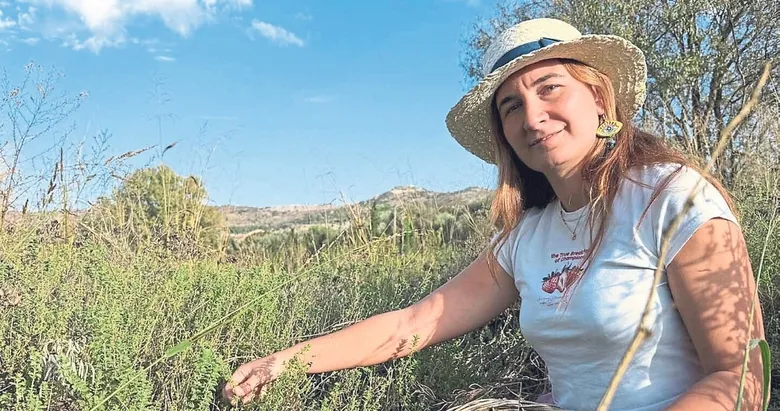 Beyaz yakadan toprağa dönüş