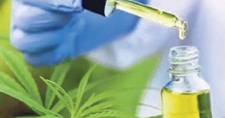 Tıbbi kenevir eczanelerde: Reçeteyle verilecek