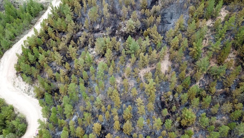 Muğla’daki orman yangınlarında yanan 25 hektarlık alan havadan görüntülendi