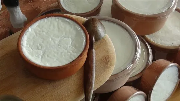 her-gun-yiyoruz-ama-hikayesini-bilmiyoruz-yogurt-nasil-yogurt-oldu-ilk-yogurt-nasil-bulundu-ilk-yogurt-mayasi-1783407715524.jpeg