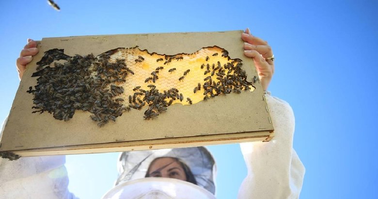 Arıcıların hedefi bal üretiminde zirveye yerleşmek