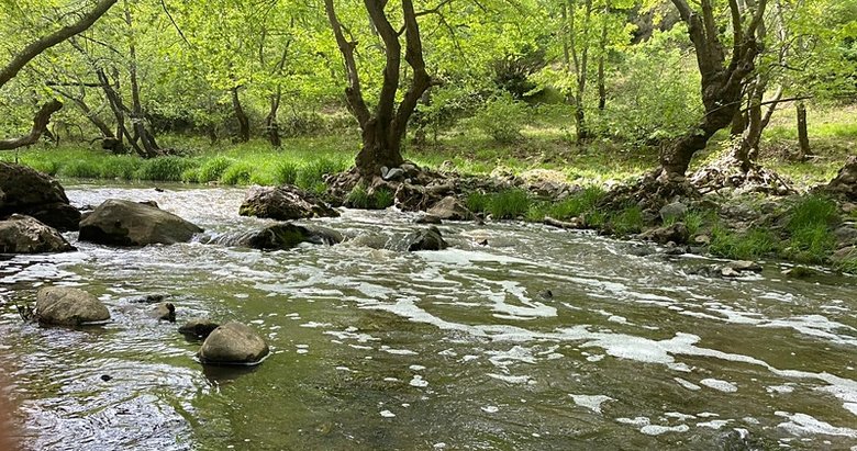 Ketenlik Deresi zehirle kaplandı: Vatandaşlar tepkili