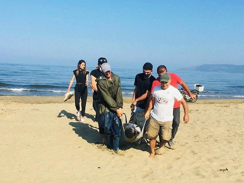 Yaşasın diye defalarca denize geri ittiler ama ölü olarak kıyıya vurdu