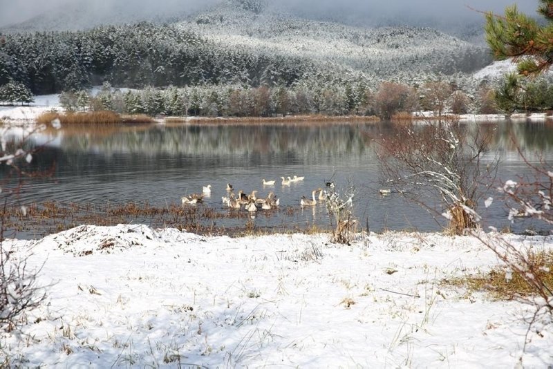 Kütahya’da mevsimin ilk karı yağdı! Kartpostallık görüntüler oluştu