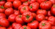 Bir lokma domates canından etti