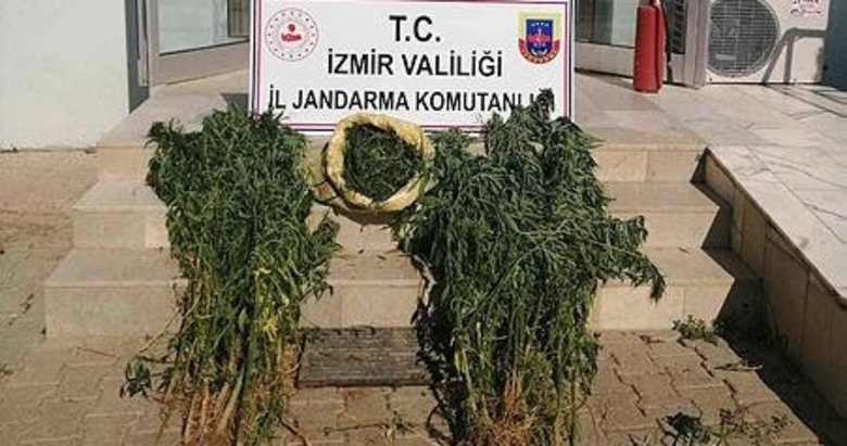 İzmir’in 3 ilçesinde uyuşturucu operasyonu: 2 gözaltı