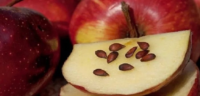 Bu meyvenin çekirdeğini yutuyorsanız dikkat! Zehirliyor mu?