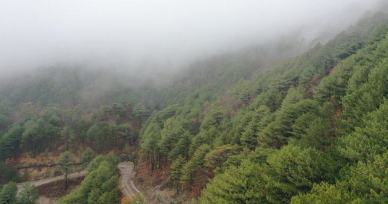 Kazdağları’nın bu görüntüleri mest etti